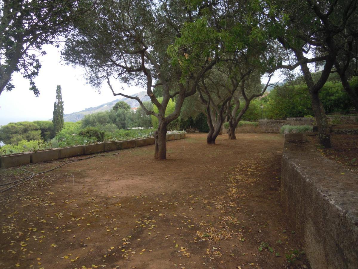 Appartamento In Villa Fortunata Terra Marina Serra Exterior foto